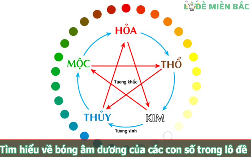 Vòng lặp ngũ hành và các con số tương ứng